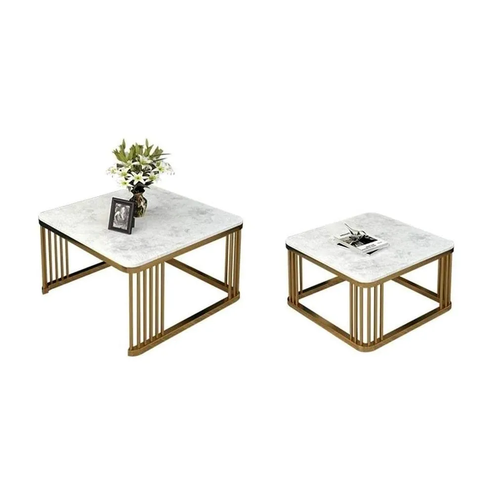 Anikaa Debby Nesting Coffee Table with Real Marble for Living Room Office Home in Gold Finish (Set of 2)