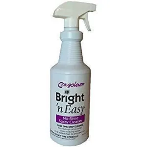 Bright 'n Easy Spray Cleaner