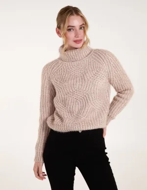 Chenille Roll Neck Knit Jumper
