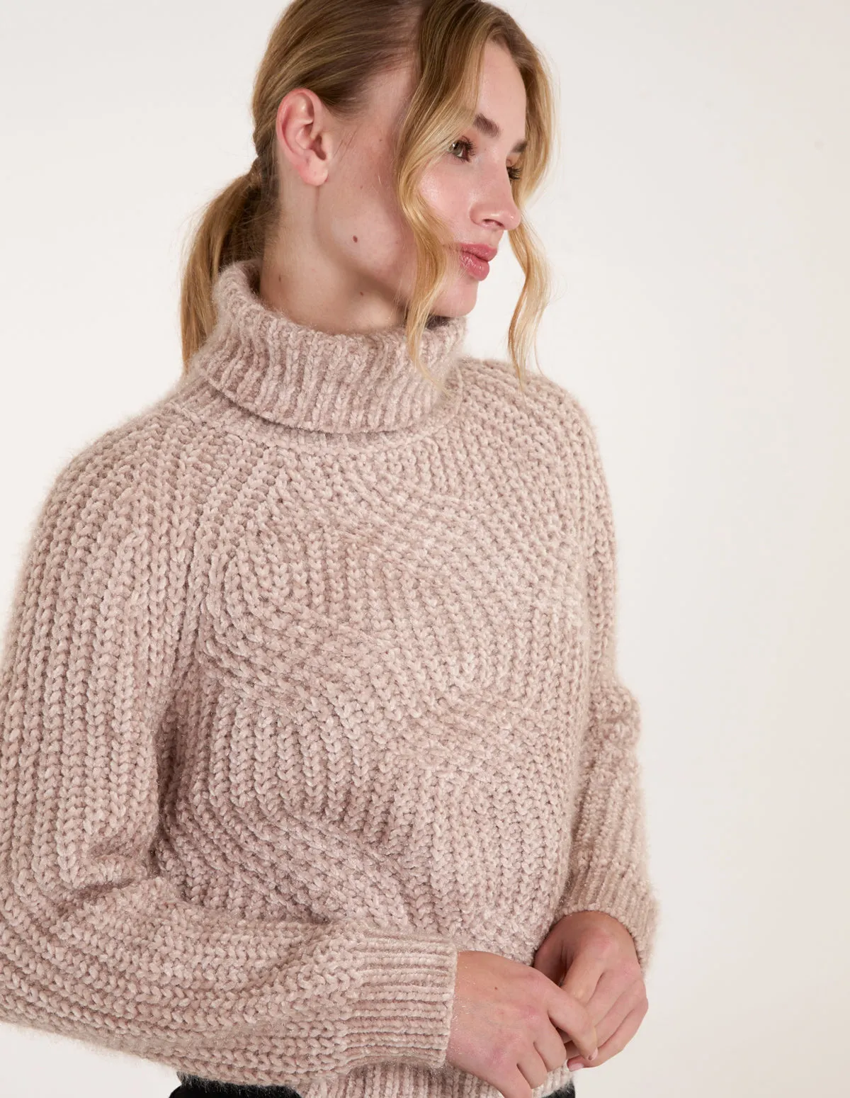 Chenille Roll Neck Knit Jumper