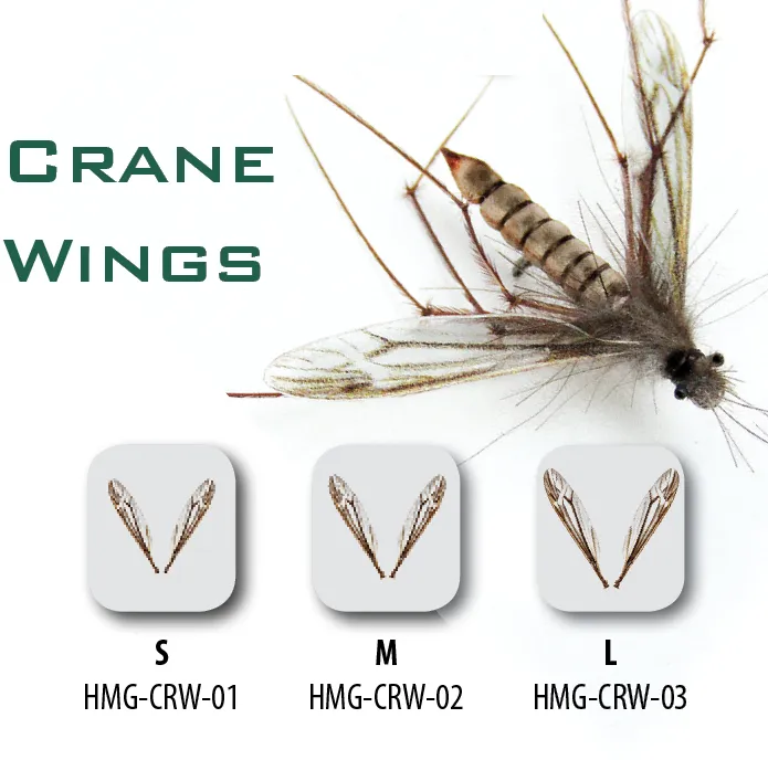 Hemingway's Crane Wings
