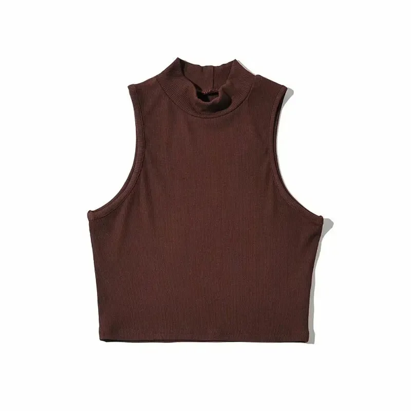 High Neck Sleeveless Crop Top