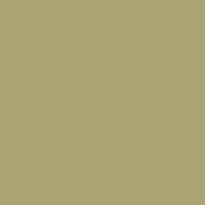 Iguana 4" Rubber Cove Molding