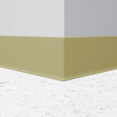 Iguana 4" Rubber Cove Molding