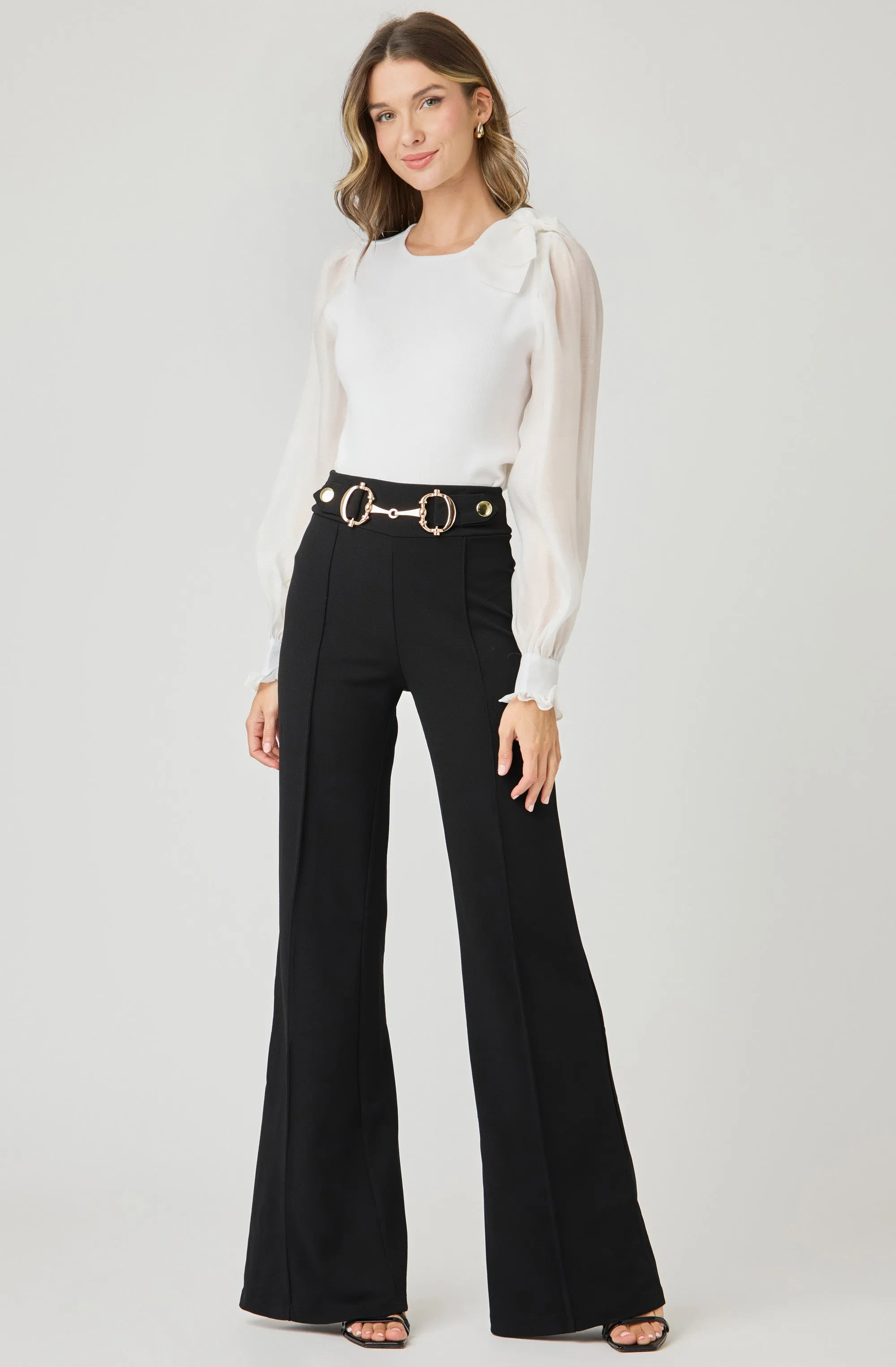 Knit Top with Chiffon Sleeves and Bow
