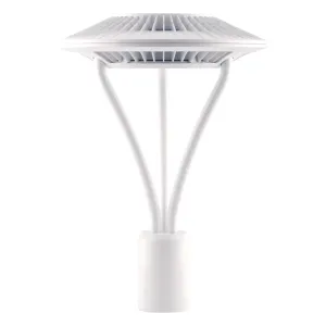 LED Post Top Light, 52 Watts, 6500 Lumens, 5000K, Post Top Mount, 120-277V, Bronze