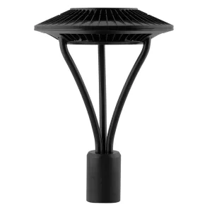 LED Post Top Light, 52 Watts, 7000 Lumens, 4000K, Post Top Mount, 120-277V, Bronze