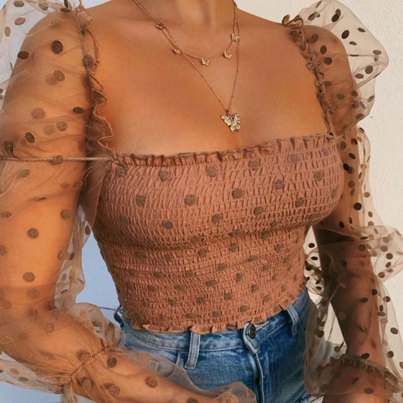 Mesh Sheer Chiffon Long Sleeve Blouse Top