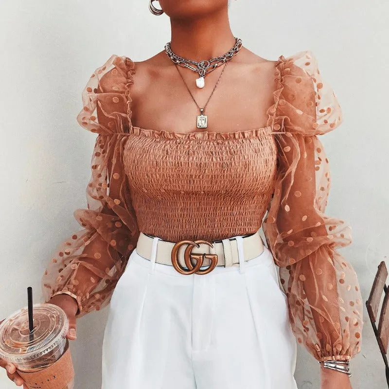 Mesh Sheer Chiffon Long Sleeve Blouse Top