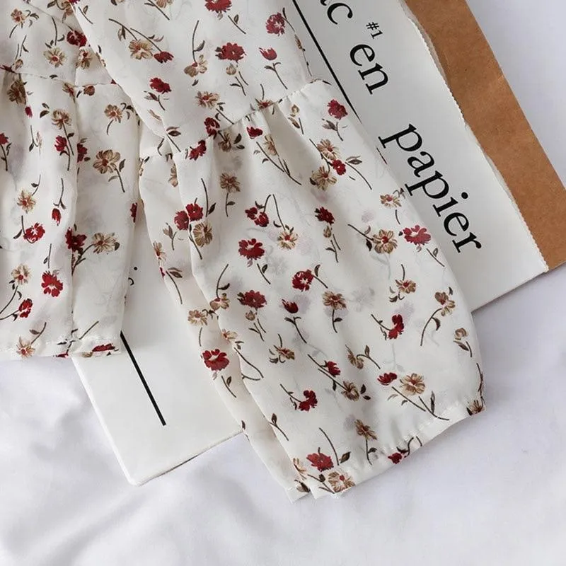 PRAIRIE MEADOWS TOP