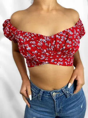 Rancherita Tie Crop Top