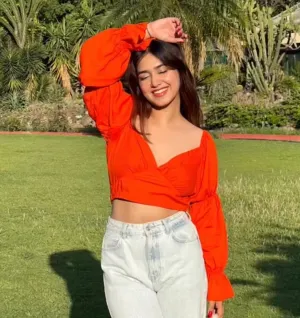 Rushed Crop Top