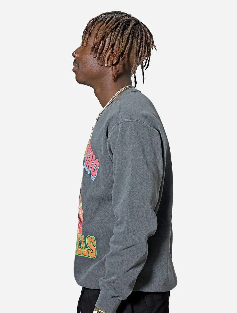 TLC Waterfalls Crew Sweatshirt